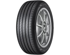Goodyear EFFICIENTGRIP PERFORMANCE 2 205/55/R16 91V vara