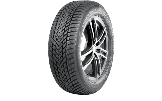 Nokian Tyres SNOWPROOF 2 205/55/R16 91T iarna
