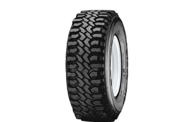 Black-star DAKOTA 205 /R16 104Q all season (RESAPAT)