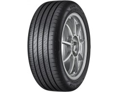 Goodyear EFFICIENT GRIP PERFORMANCE 2 205/55/R16 91V vara