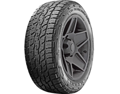 Cooper DISCOVERER ATT 255/55/R19 111H all season